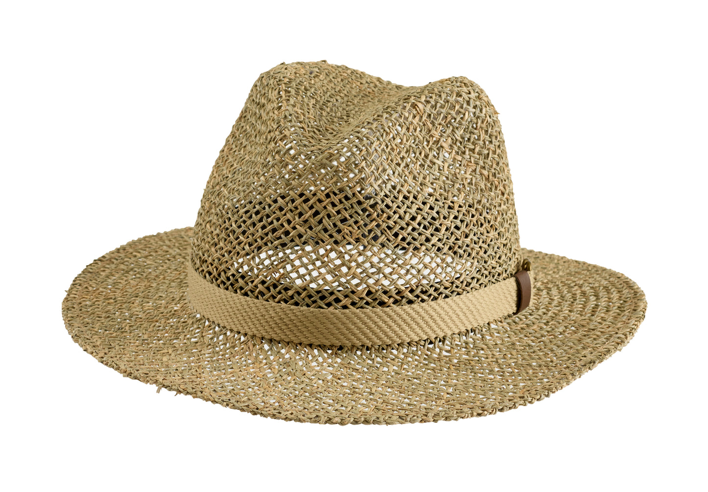 Safari